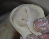 鶏肉水餃子作り方5写真