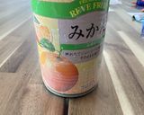 みかんの缶詰で作れるみかんアイス作り方4写真