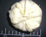 ヘルシー肉まん作り方5写真