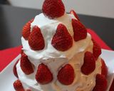ふわふわスポンジでクリスマスツリーケーキ作り方16写真