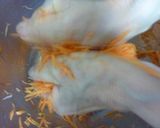 紅白なます作り方6写真