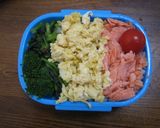 ❄冬休み❄中坊の弁当特訓～三色丼～作り方13写真