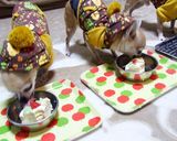 愛犬も大喜び！簡単バースデーケーキ！作り方12写真