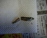 紗里の止まらない田作り（ごまめ）作り方4写真