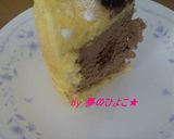 2010我が家のクリスマスケーキ★その２作り方12写真