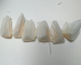 ✿お正月に菊花かぶ✿作り方7写真