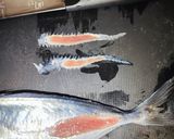 5分で鯵を3枚おろしに作り方2写真
