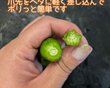【夏の副菜】ししとうと蒟蒻の香味油炒め作り方7写真