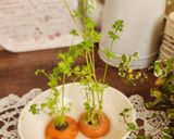 再生人参の葉の作り方（リボベジ）作り方1写真