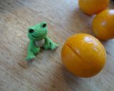 風邪に負けない！金柑甘露煮作り方1写真