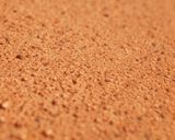 基本のココアスポンジ生地（ジェノワーズ）作り方29写真