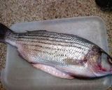 白身魚まるごと１匹変わり料理：すずき作り方1写真