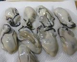 牡蠣の味噌バター焼き作り方3写真