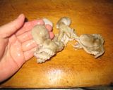 濃厚ダシでつくる醤油味の寄せ鍋と餅シャブ作り方4写真