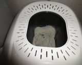 簡単チーズ入りバケット！作り方1写真
