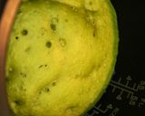 お節の残った黒豆de超簡単抹茶ケーキ♪作り方7写真