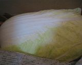 白菜の酢漬け 保存食作り方1写真