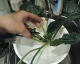 ほうれんそうの洗い方（虫おとし）作り方2写真