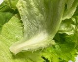 簡単　ちょい足し味噌レタス巻き作り方4写真