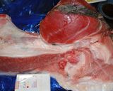 まぐろのカマで絶品炙りカマトロ丼作り方1写真