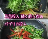 【酒菜】豆苗・アスパラ・海鮮・ＸＯ醤炒め作り方11写真