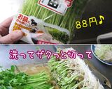 【酒菜】豆苗・アスパラ・海鮮・ＸＯ醤炒め作り方5写真
