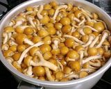 わかめとなめこの味噌汁（なめこ汁）作り方3写真