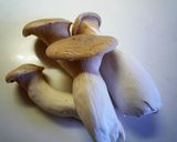 ✿エリンギのオイスターからし煮✿作り方1写真