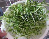 簡単!豆苗のナムル!作り方1写真