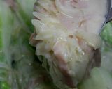 白菜クリーム煮でグラタン風作り方27写真