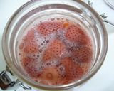 自家製酵母☆いちごの酵母（液種）作り方12写真