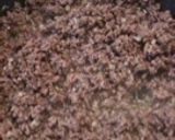 挽き肉とタケノコのまぜご飯作り方2写真