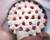 フレジェ風♪ホワイトチョコレートケーキ作り方17写真