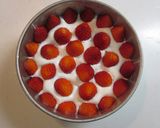 フレジェ風♪ホワイトチョコレートケーキ作り方21写真