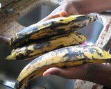 プランテン(食用バナナ）の調理法作り方1写真