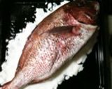 お祝いの日に鯛の塩釜焼き！意外と簡単！作り方3写真