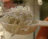 早い！じゃこと梅のカリカリ★大根サラダ作り方5写真