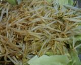 キャベツ、もやし、豆腐の蒸し焼き作り方2写真