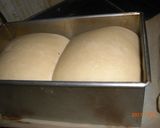 きんかん酵母ストレート法で食パン作り方7写真