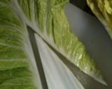 猪肉ならコレ‼Part２♪定番・味噌鍋作り方3写真