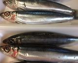 給食の「いわしの梅煮」♡骨まで食べよう作り方1写真
