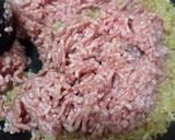 旨辛！麻婆春雨作り方4写真