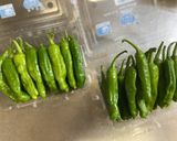 楽しかしてないししとう炒め お箸とまらぬ作り方1写真