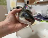 ボラの刺身作り方5写真
