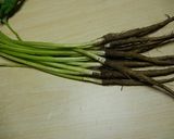 【農家のレシピ】葉ゴボウと牛肉の煮物作り方1写真