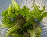 鶏の照り焼き作り方6写真