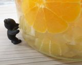 レモン7+甘夏1+清見1＝檸檬甘夏清見酒作り方2写真