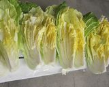 白菜漬けにきゅうり作り方1写真