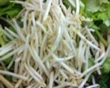 ☆セロリの葉で☆ペペロンチーノ風炒め♪作り方4写真