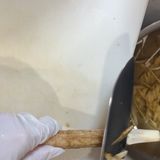 牛ごぼうしめじのしぐれ煮【作り置き･お弁当にも】作り方3写真